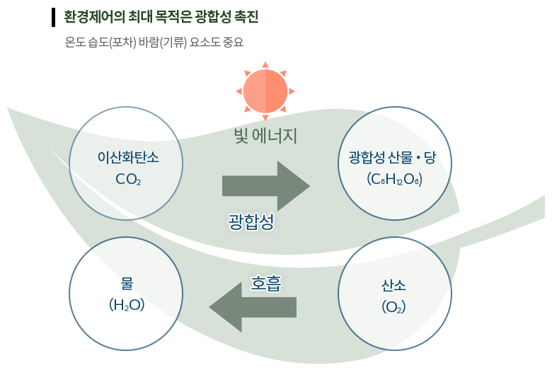 그로우에어